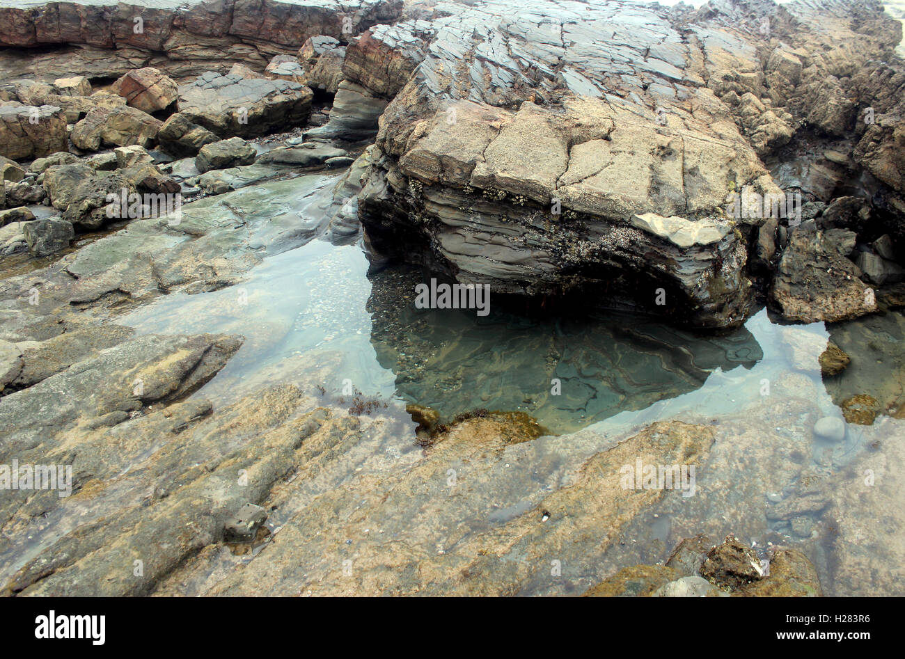 tide pools at Crystal Cove State Park Stock Photo Alamy