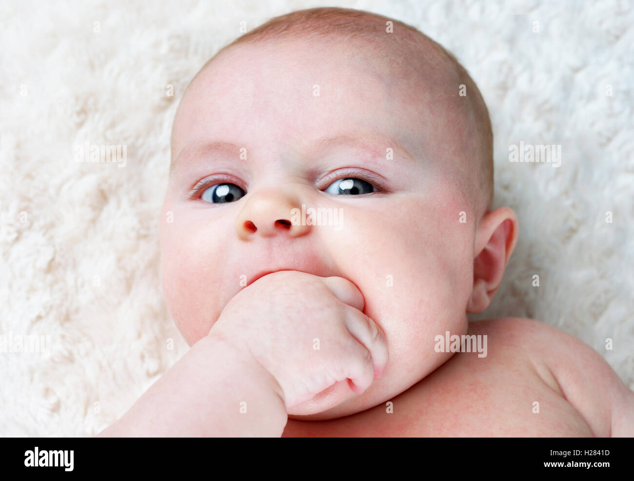 Baby with fist in mouth Stock Photo Alamy