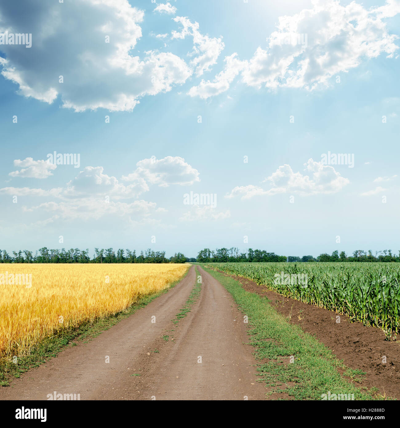 sunny sky with clouds over road in agriculture fields Stock Photo - Alamy