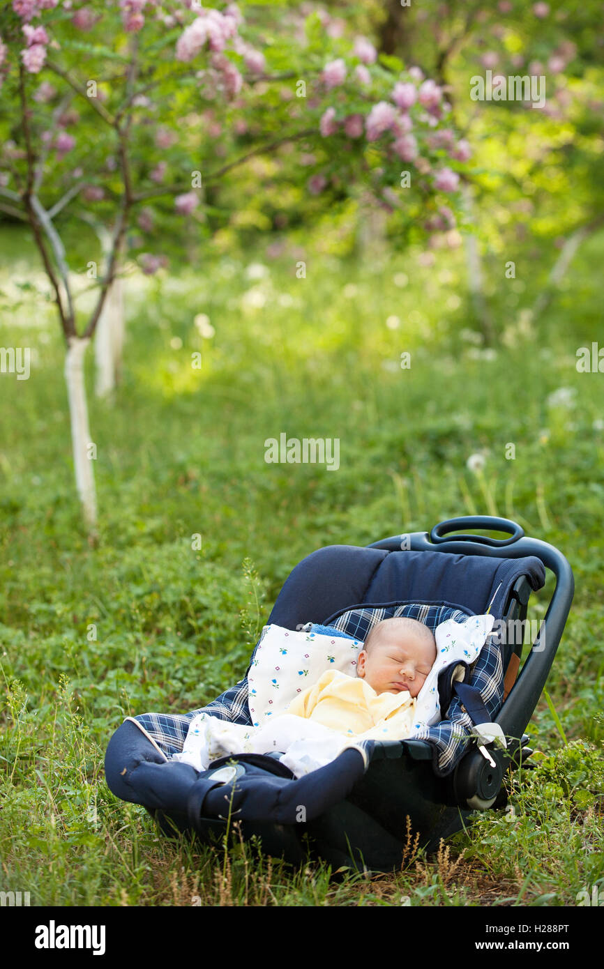 Newborn boy sleeping in car seat Stock Photo Alamy