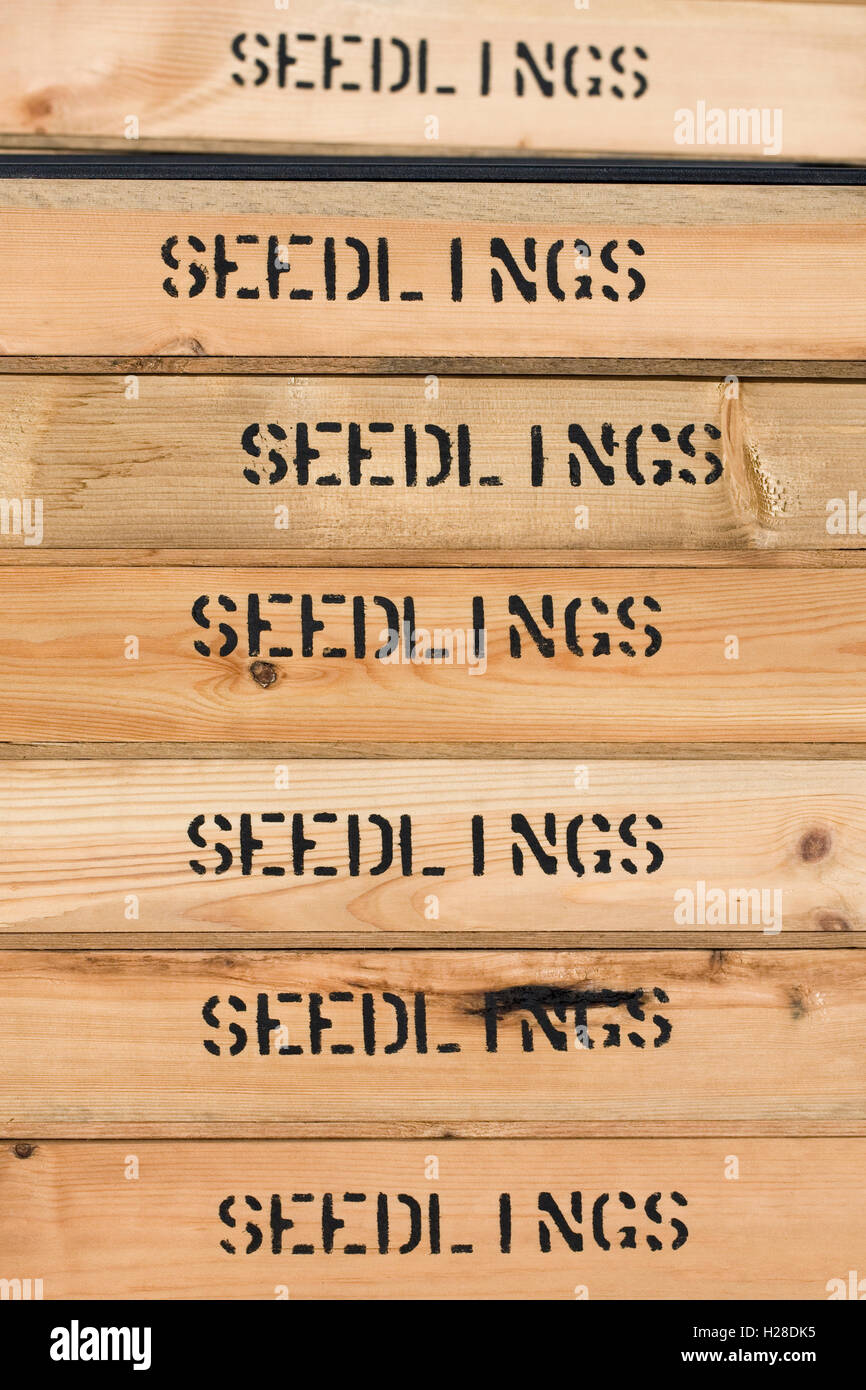 Stacked seed trays for sale. Stock Photo