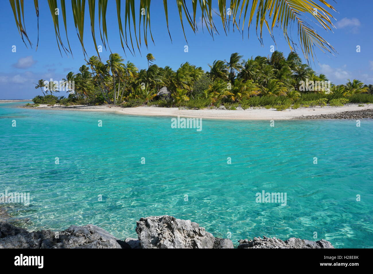 Tropical islet with turquoise water, atoll of Tikehau, Tuamotu archipelago, French Polynesia, Pacific ocean Stock Photo