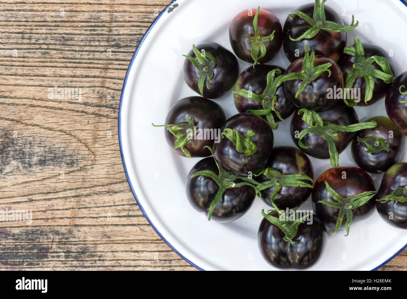 Solanum lycopersicum. Picked Black Tomatoes Indigo Rose on an enamel plate Stock Photo