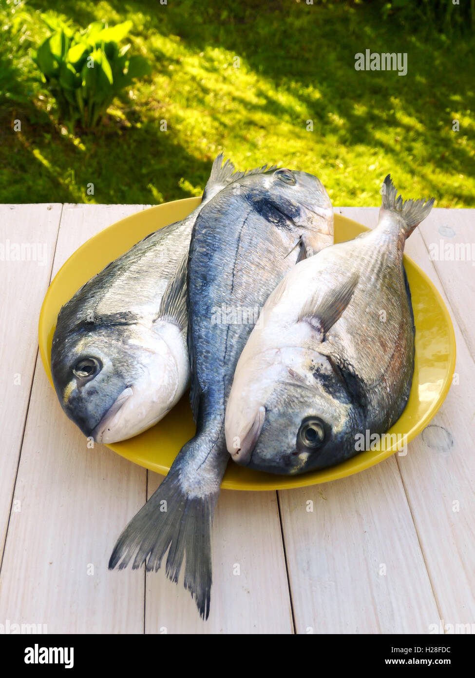 Three dorado fishes on the yellow plate on the sunny garden background Stock Photo