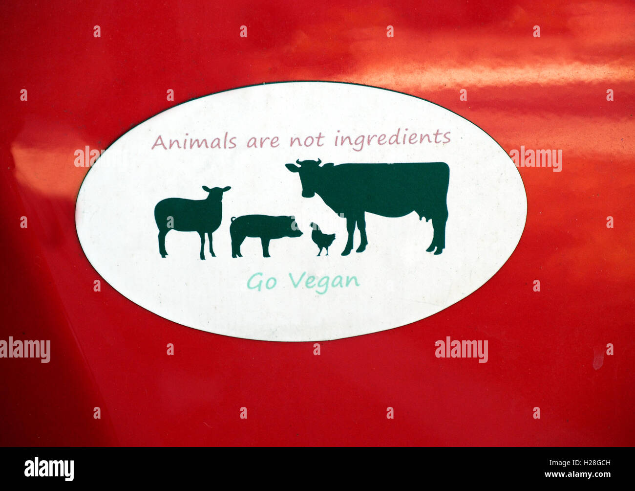 Animals are not Ingredients Stock Photo Alamy