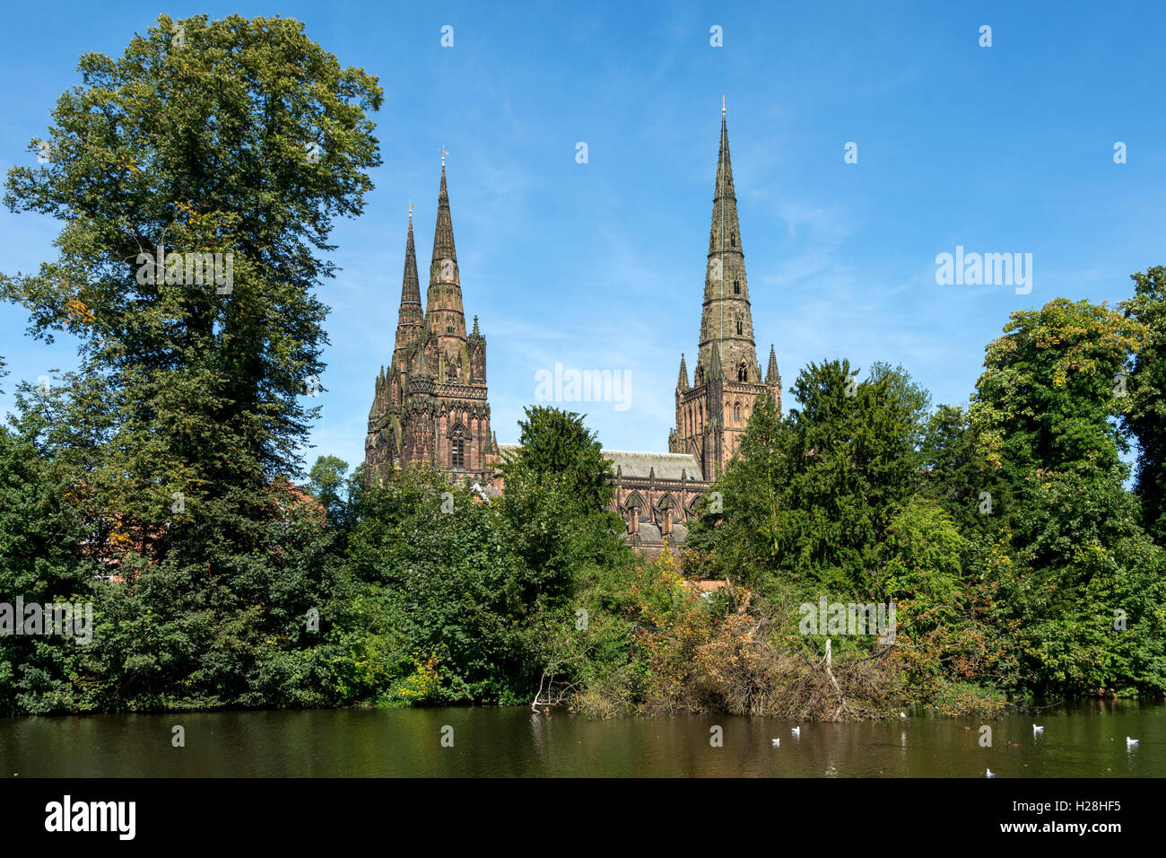 Lichfield Cathedral from the Minster Pool Walk, Lichfield, Staffordshire, England, UK Stock Photo