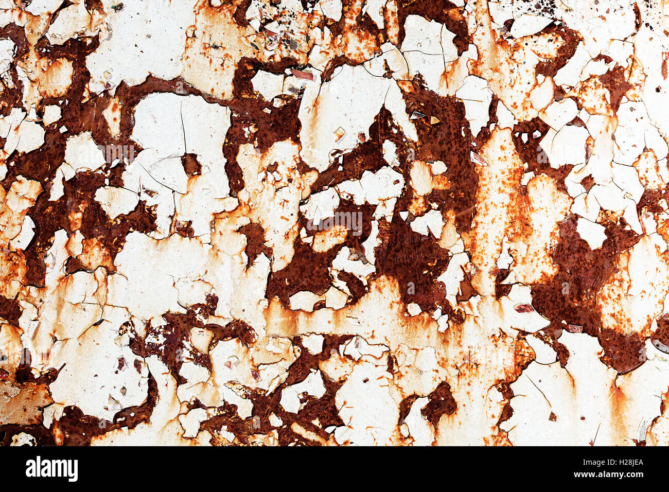 Corroded white metal background. Rusted white painted metal wall. Rusty ...