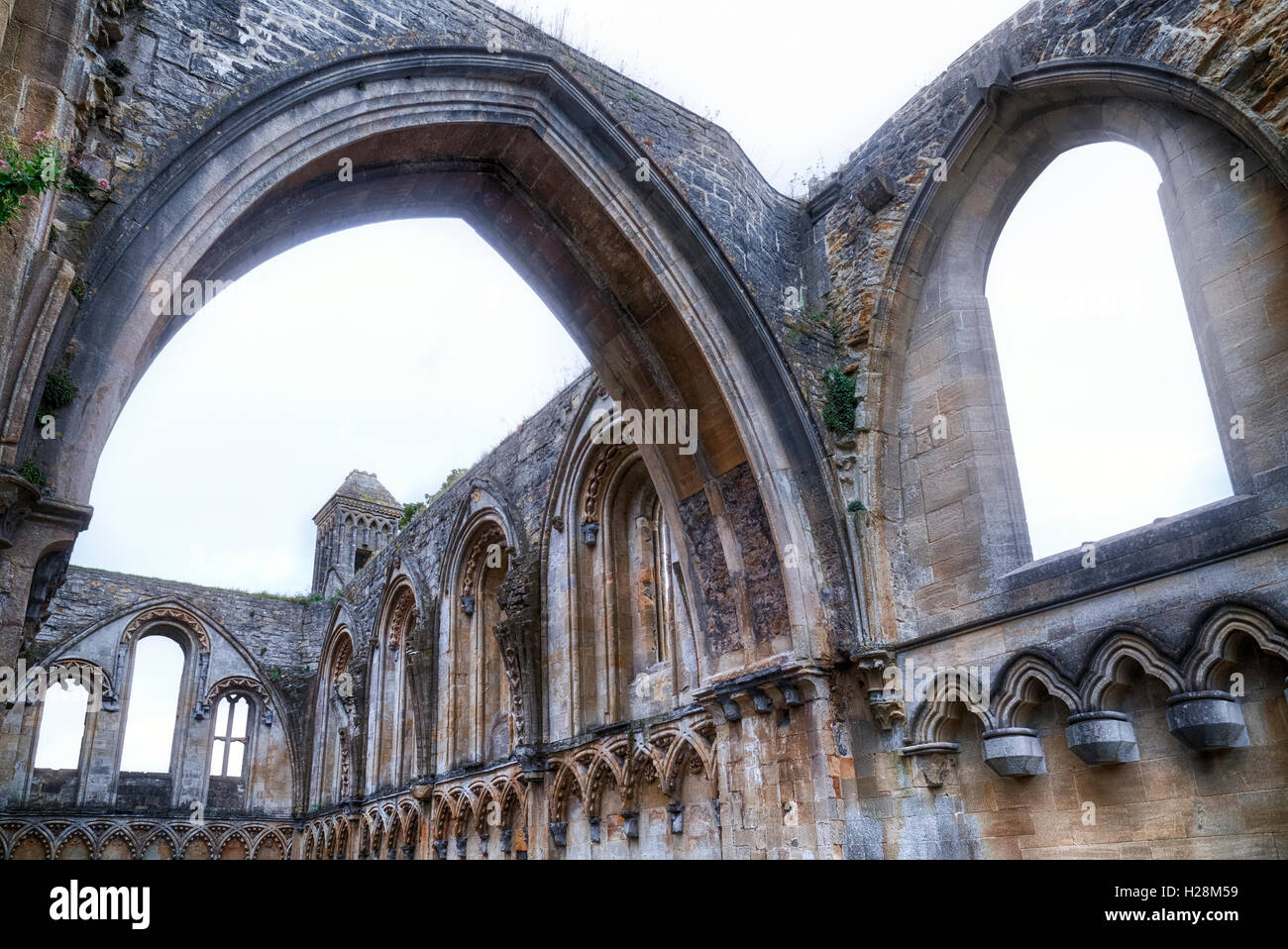 Glastonbury Abbey, Glastonbury, Somerset, England, UK Stock Photo