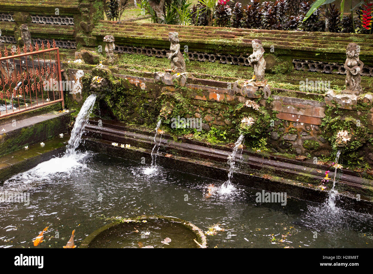 Indonesia, Bali, Sebatu, Pura Gunung Kawi Hindu temple, ritual bathing pool Stock Photo