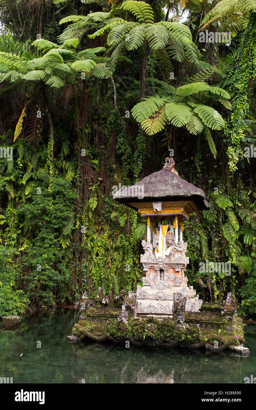Indonesia, Bali, Sebatu, Pura Gunung Kawi Hindu temple, shrine in pool Stock Photo