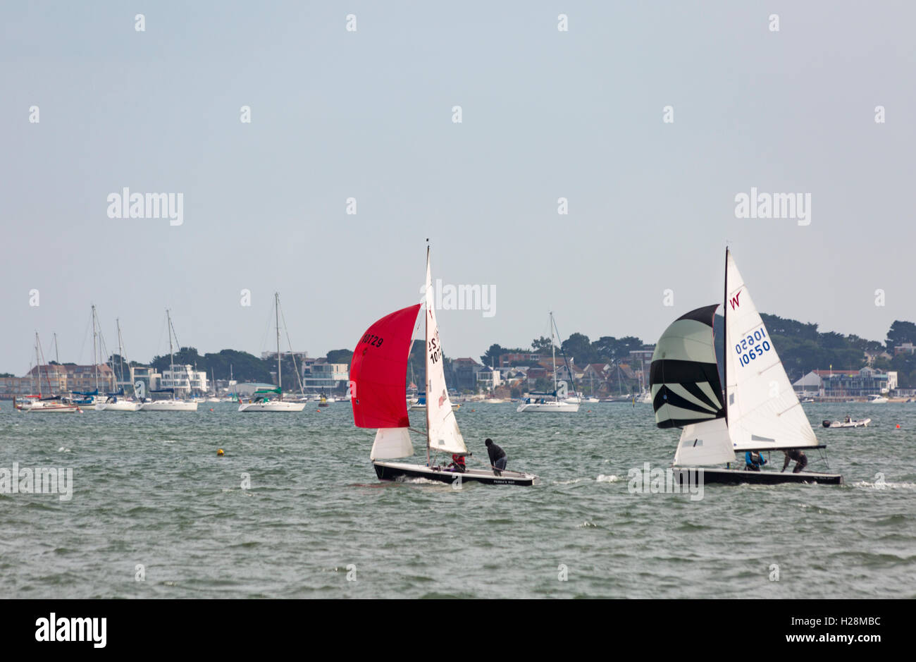 Sailing in Poole Harbour at Poole, Dorset UK in September Stock Photo