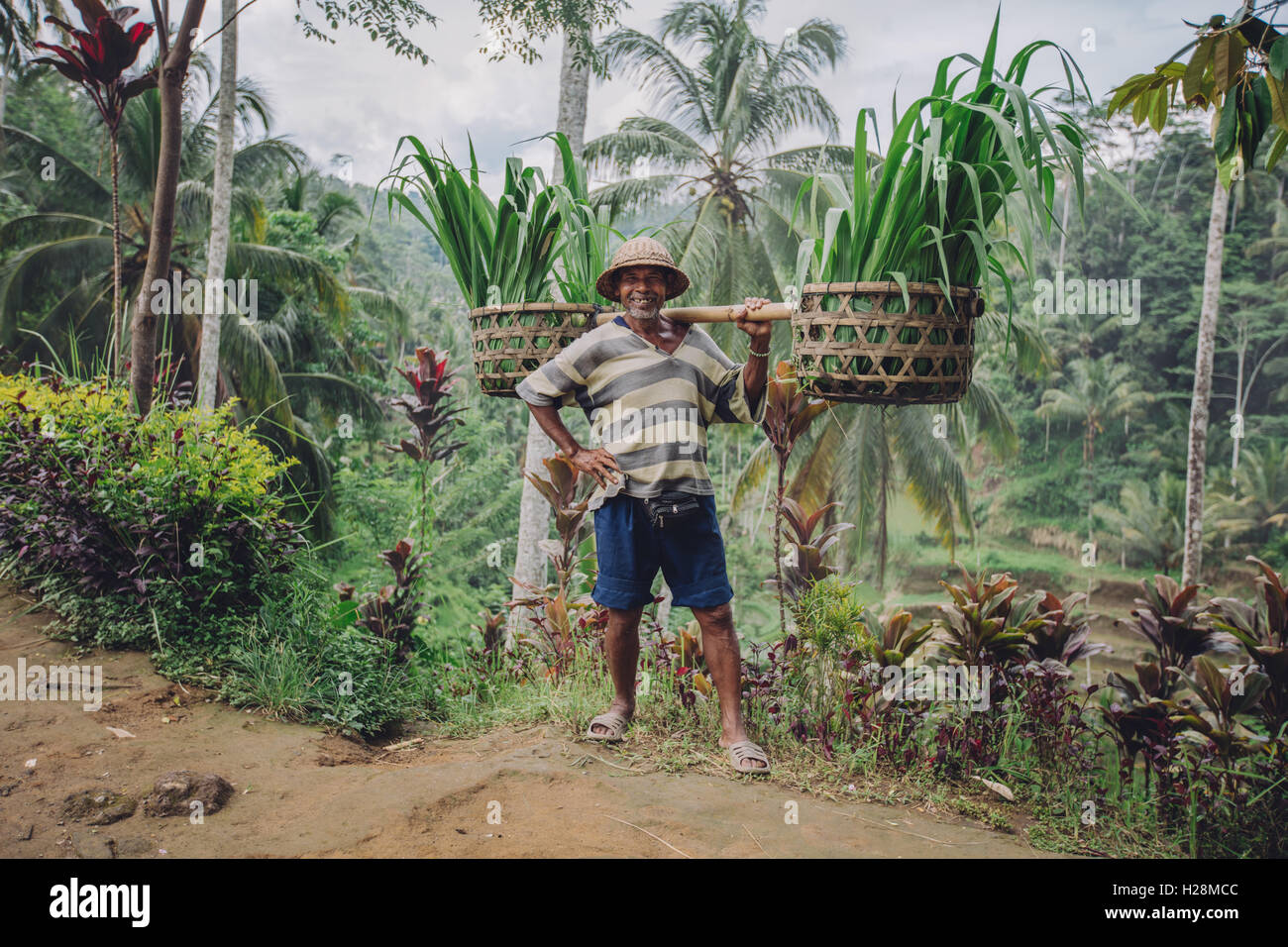 Full length shot of confident old man carrying seedlings on his shoulders. Senior male farmer smiling and posing with hand on hi Stock Photo