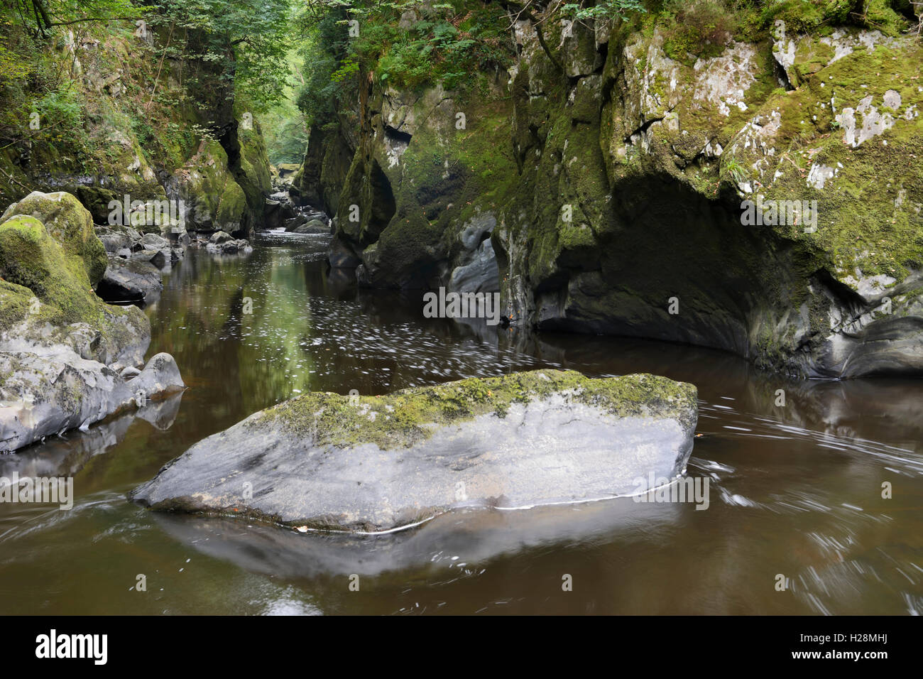 River Conway flowing through a gorge known as the Fairy Glen in North Wales near betws y coed Stock Photo