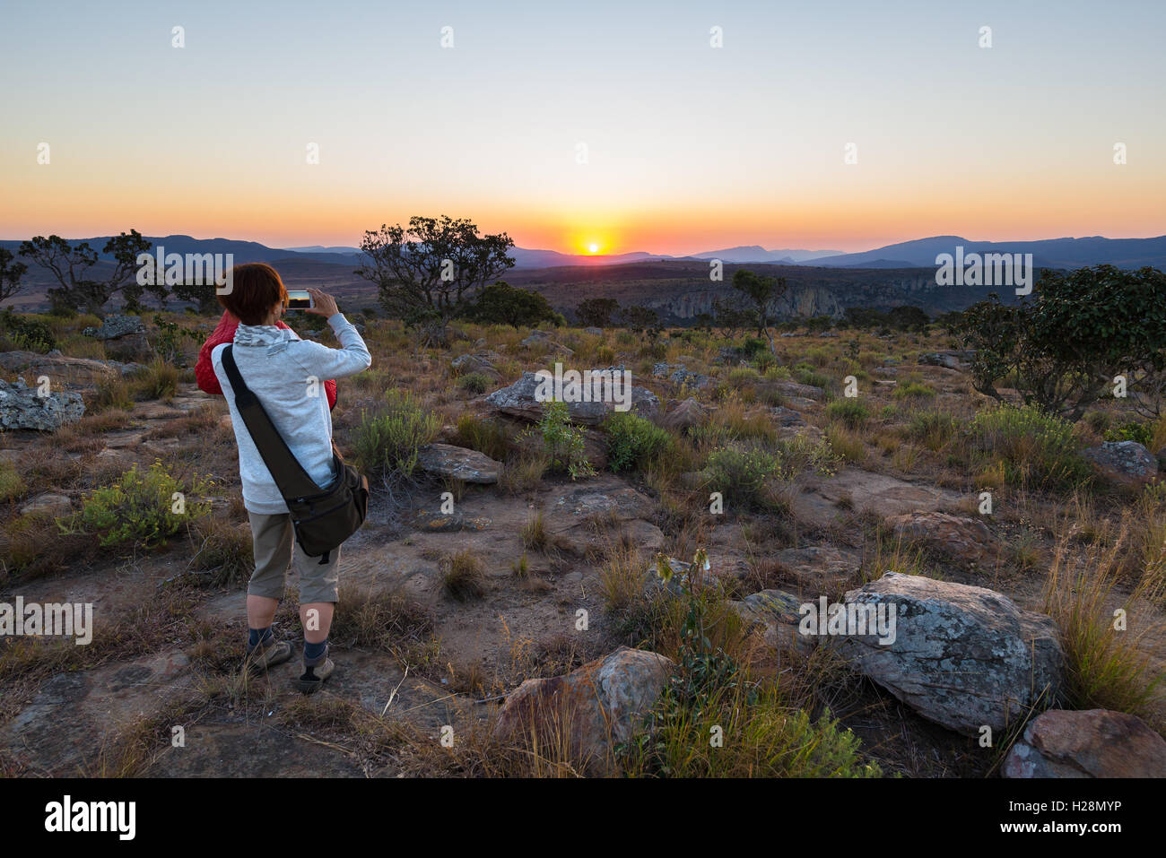 Tourist taking photo with smartphone at sunset at Blyde River Canyon, famous travel destination in South Africa. Stock Photo