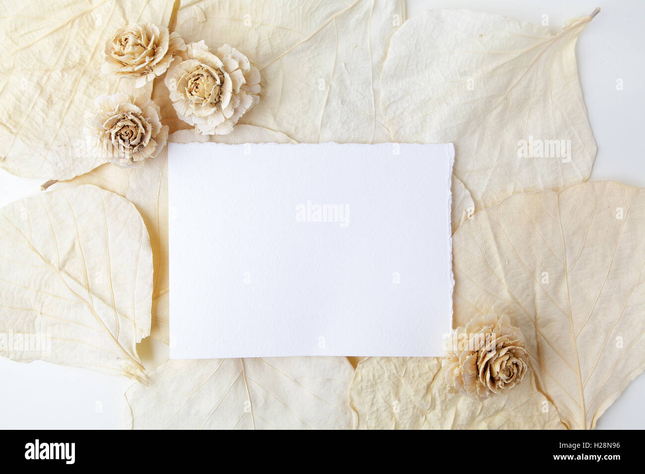 Dried biege flowers andleaves wiht blank paper. Flat lay. Top view ...