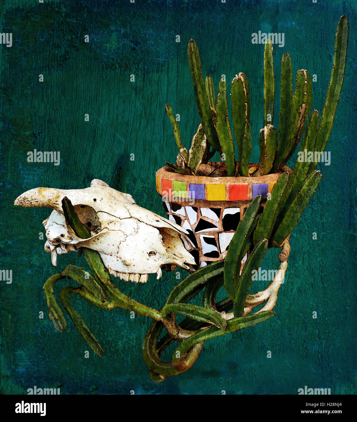 Sheep skull and Mexican mosaic pot plant with cactus on a rustic blue wood  background. Digitally filtered and textured image Stock Photo - Alamy