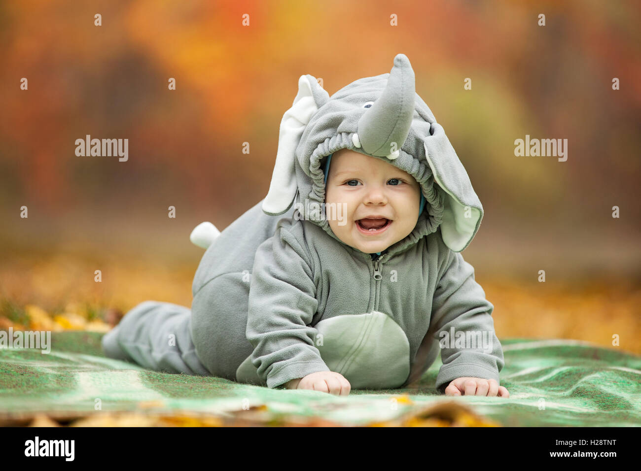 Baby boy dressed in elephant costume in park Stock Photo Alamy
