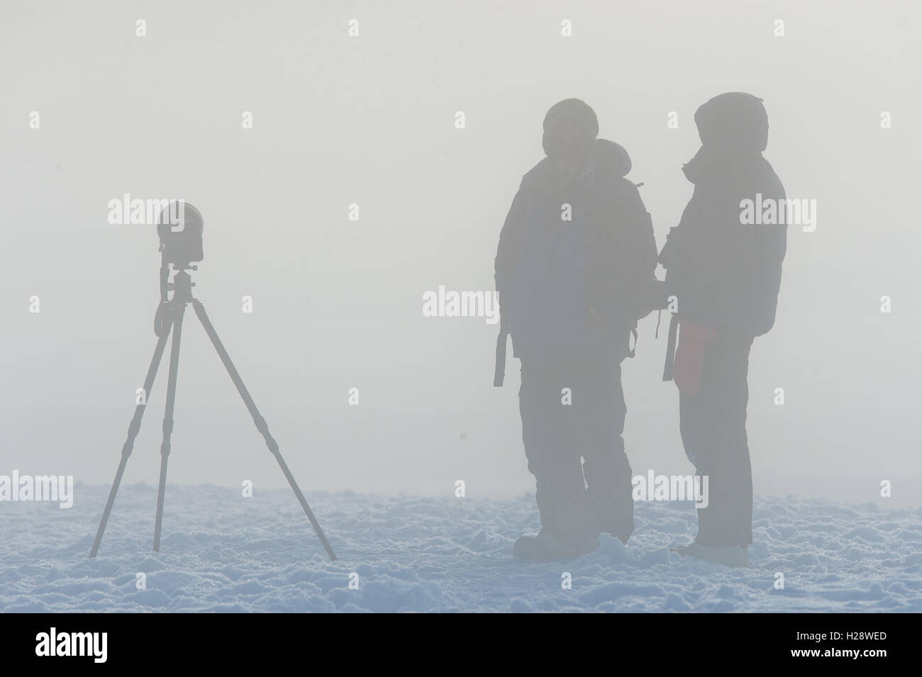 Photographers in the fog Stock Photo