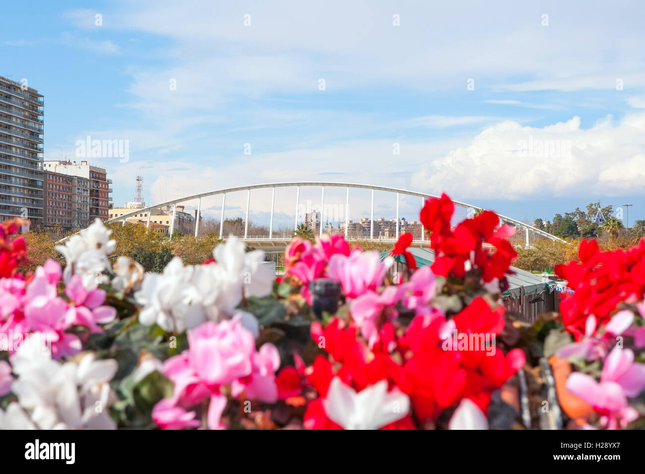 Valencia puente de Exposicion from city flowers bridge Stock Photo Alamy