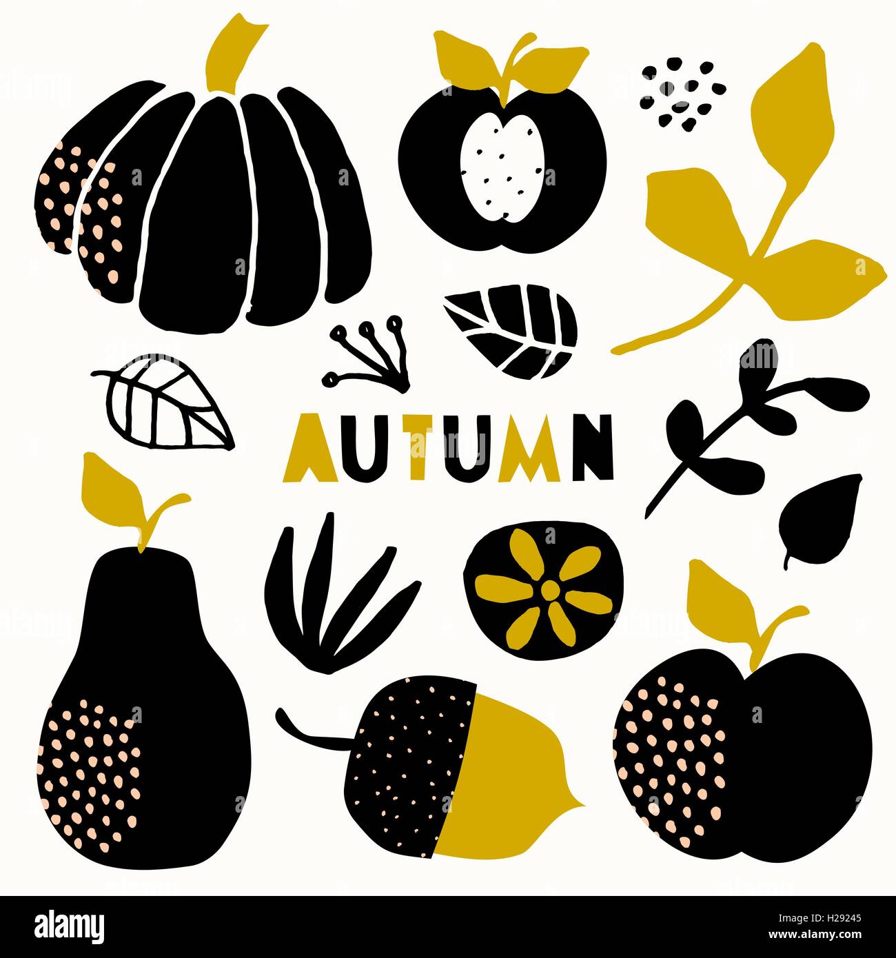 A set of autumn design elements isolated on cream background. Pumpkin ...