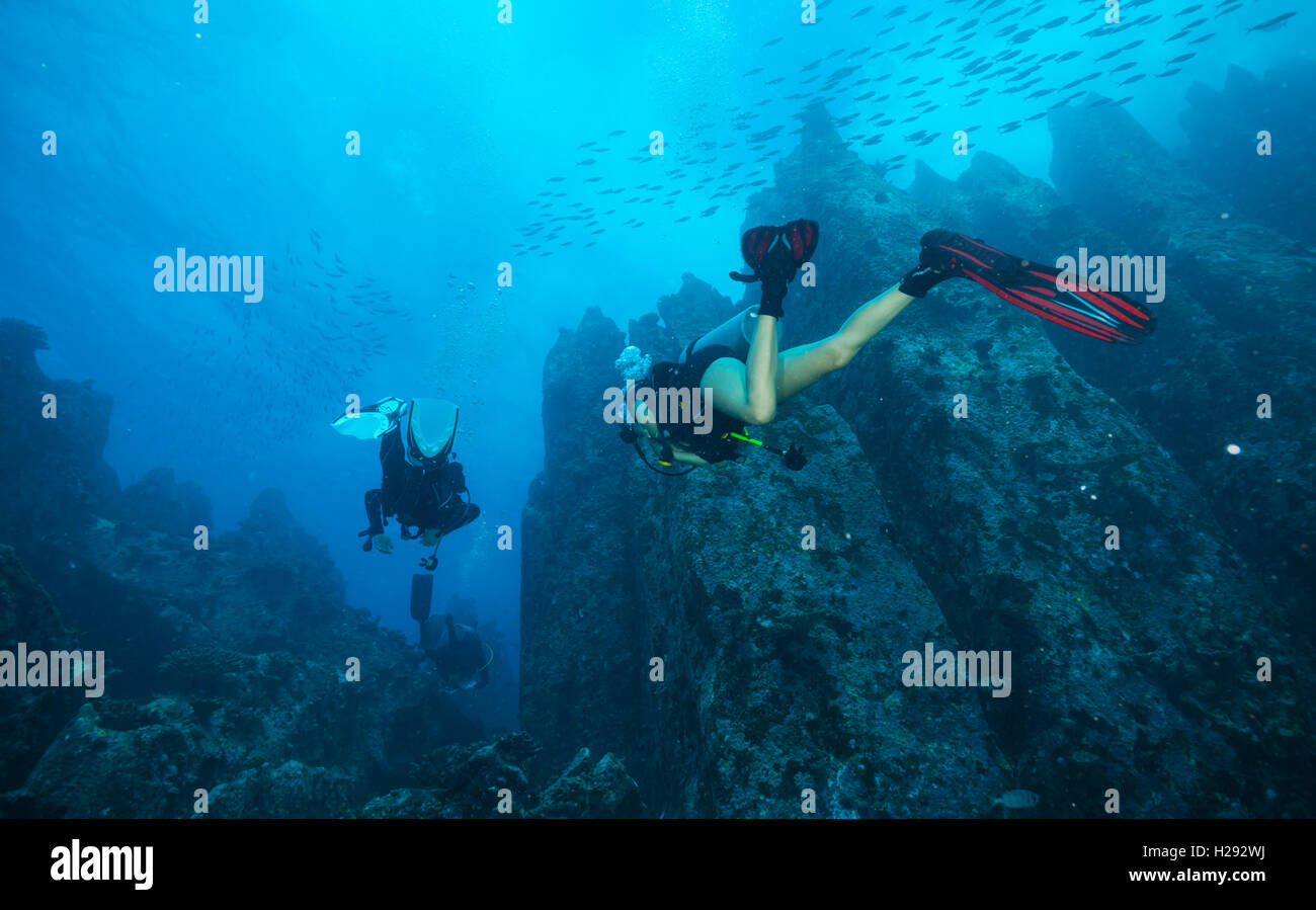Group of scuba divers exploring sea bottom. Underwater life with beautiful rocks and coral Stock Photo