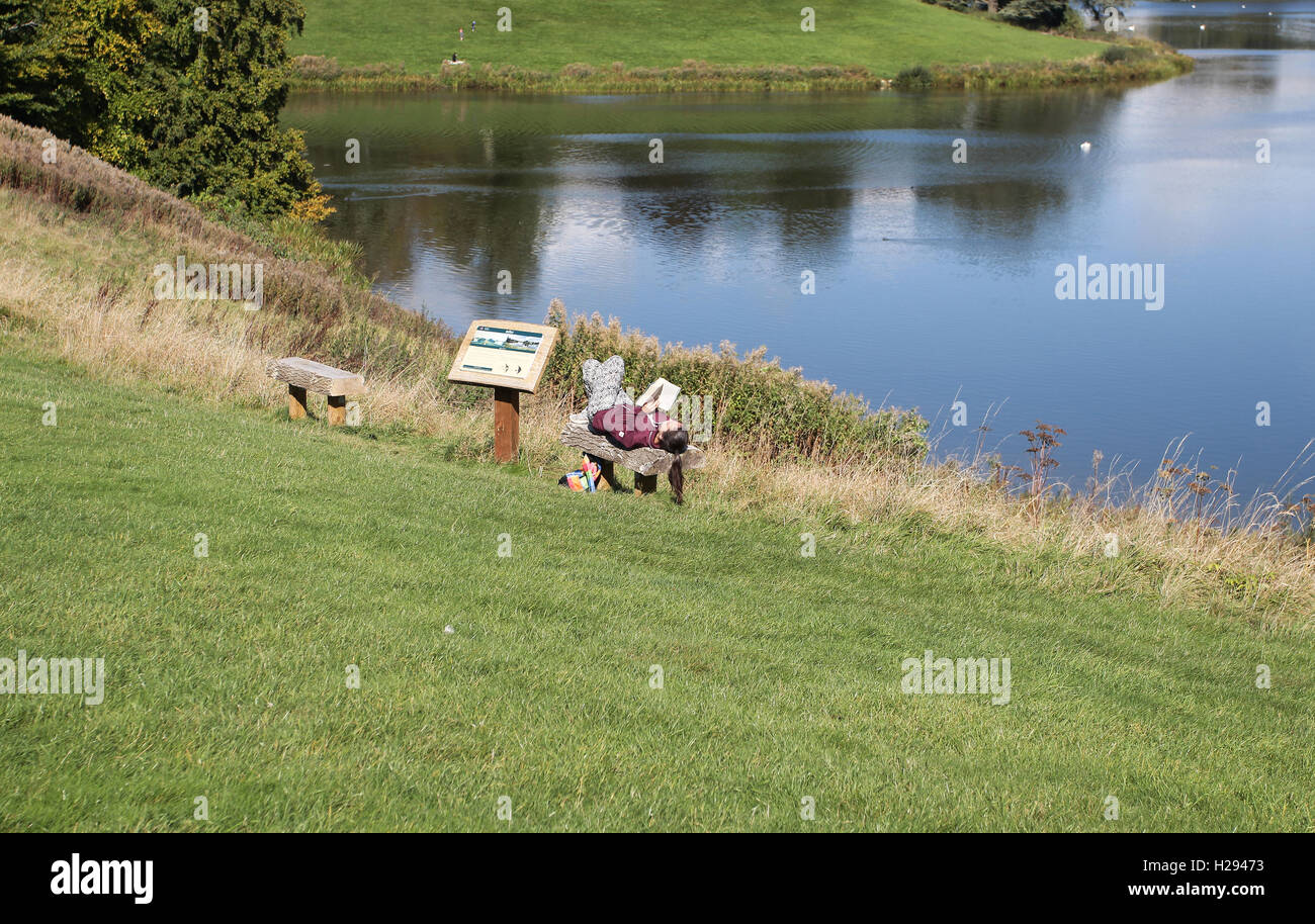 Girl reading whilst lying on a bench by a lake. Stock Photo