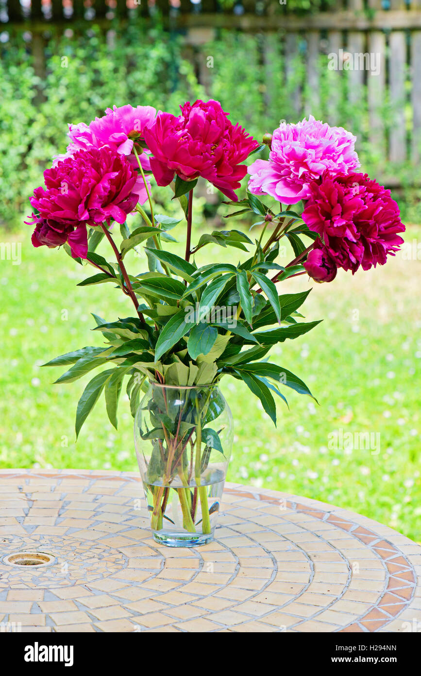 Pink peony flowers in vase Stock Photo - Alamy