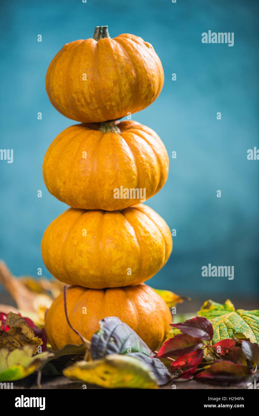 Pumpkins with fall background, copy space frame background Stock Photo ...