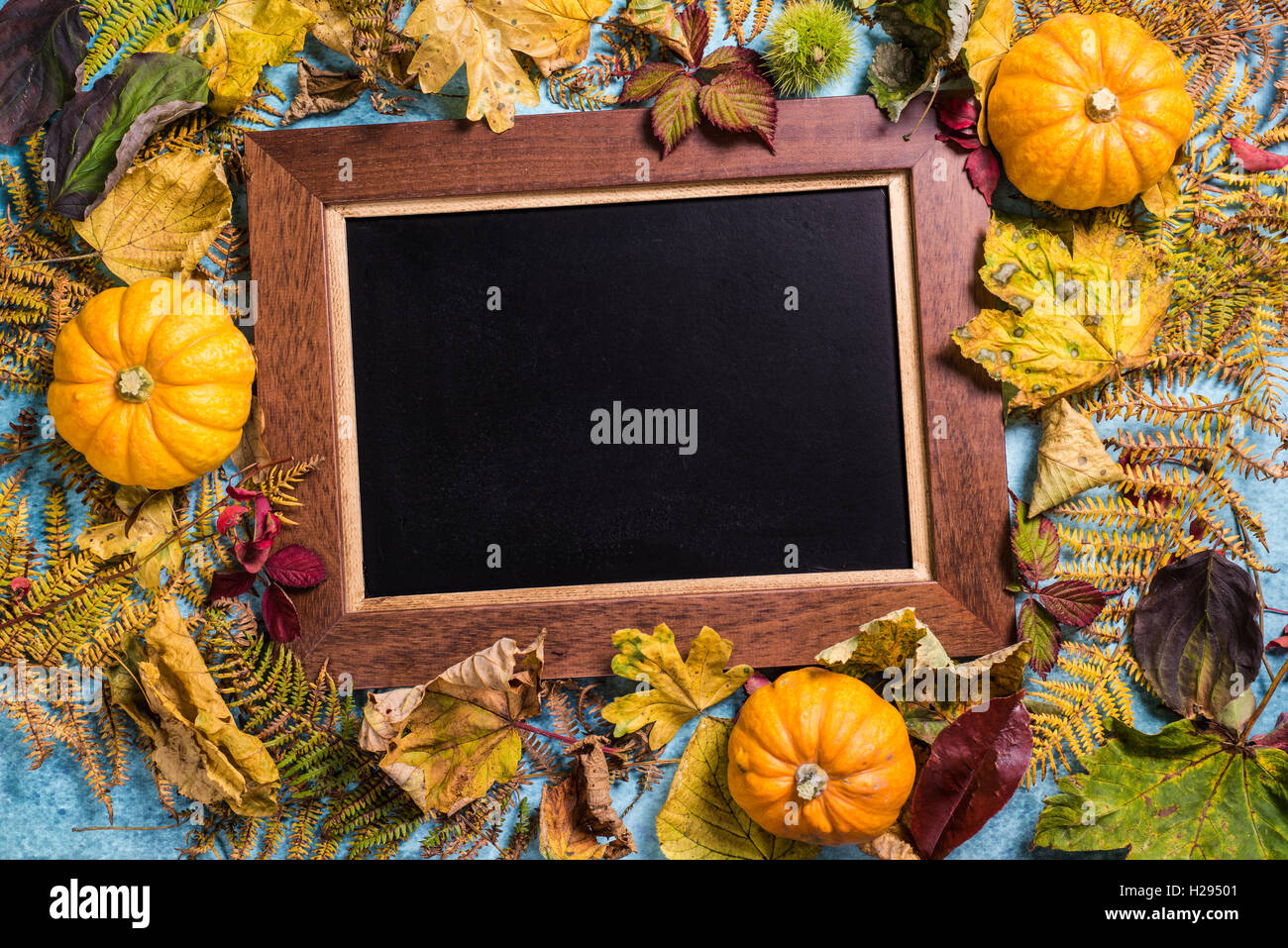 Fall background template for copy text Stock Photo - Alamy