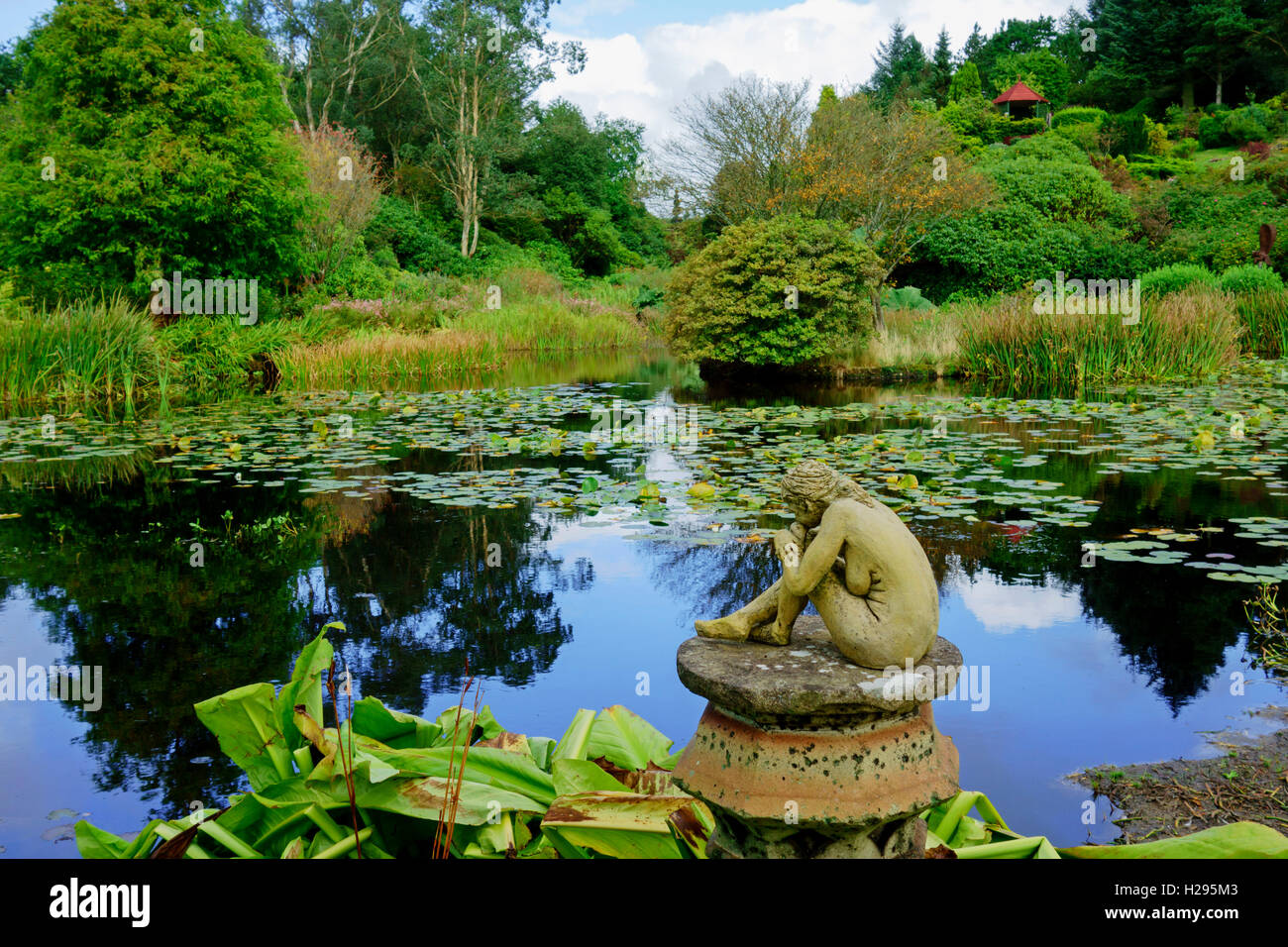 Garden pond at Glenwhan Gardens, Dunragit, near Stranraer in Dumfries