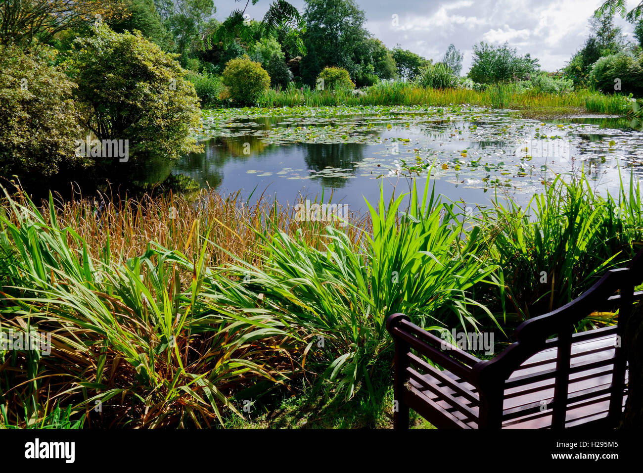 Garden pond at Glenwhan Gardens, Dunragit, near Stranraer in Dumfries