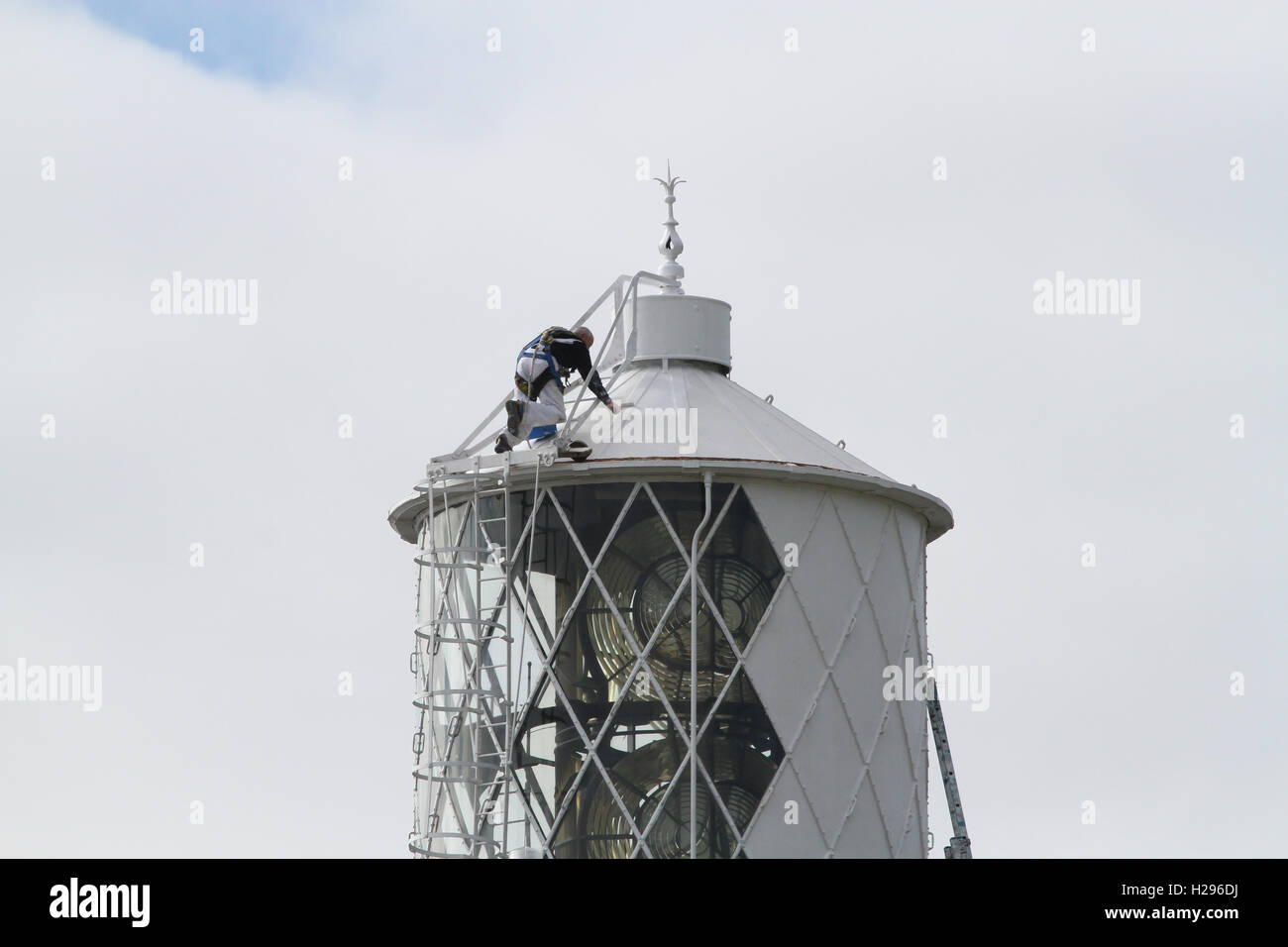 Safety harnesses and ropes whilst working at height in an unusual environment, painter painting the top of lighthouse at St John's Point Co Down. Stock Photo