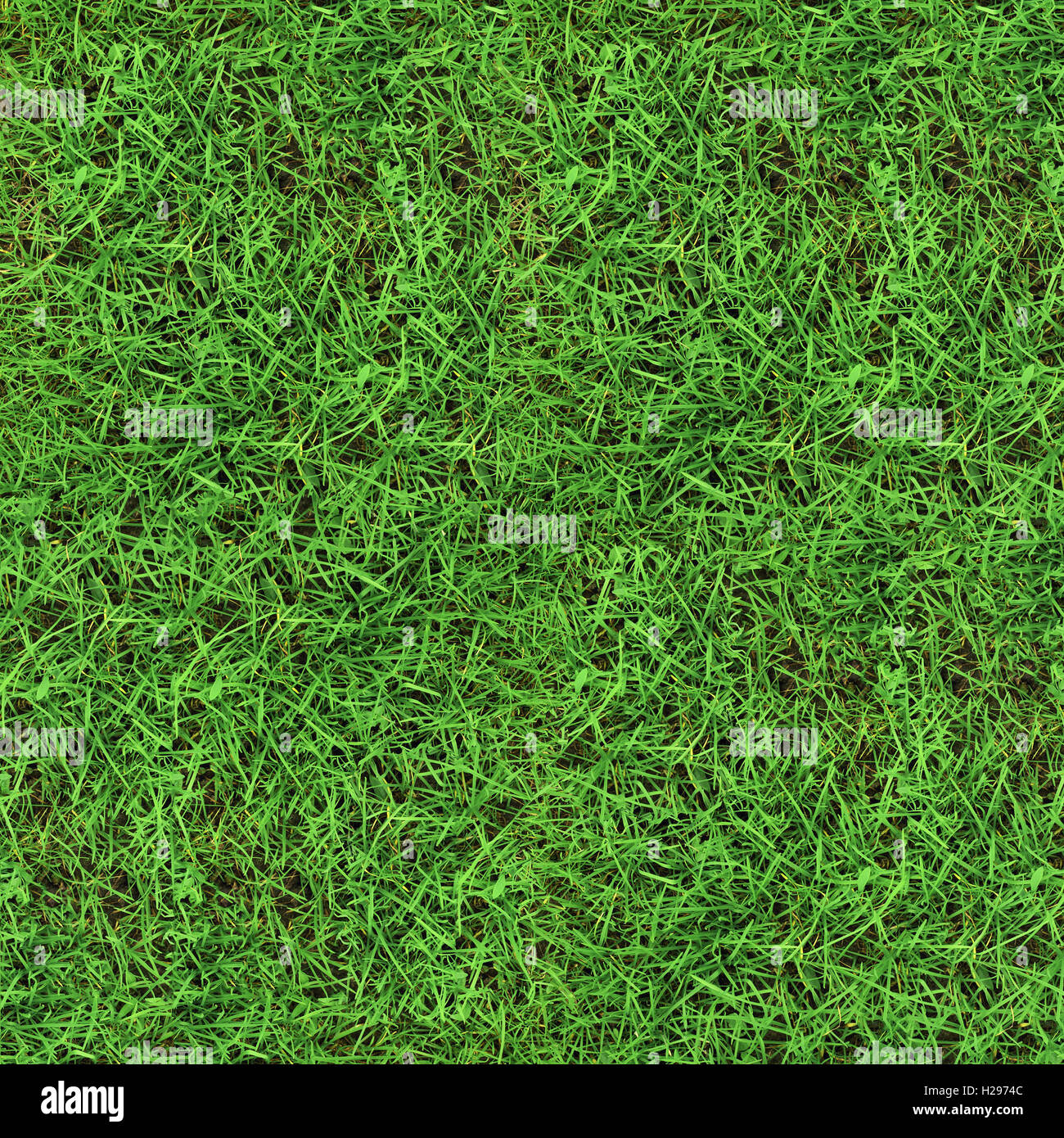 Green grass seamless texture Stock Photo