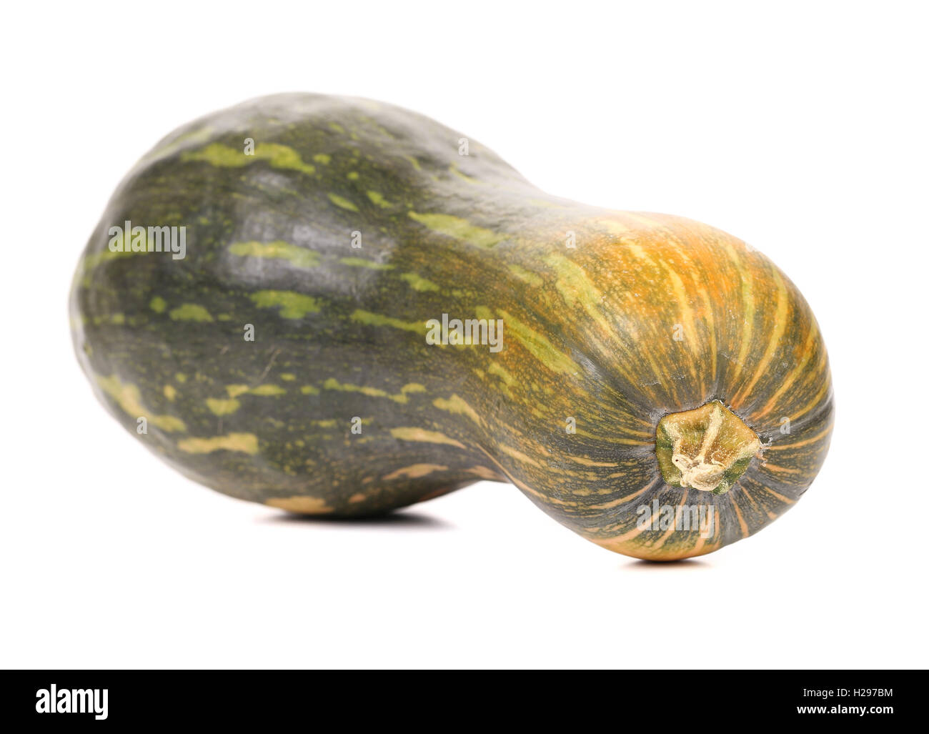 small green pumpkin Stock Photo - Alamy