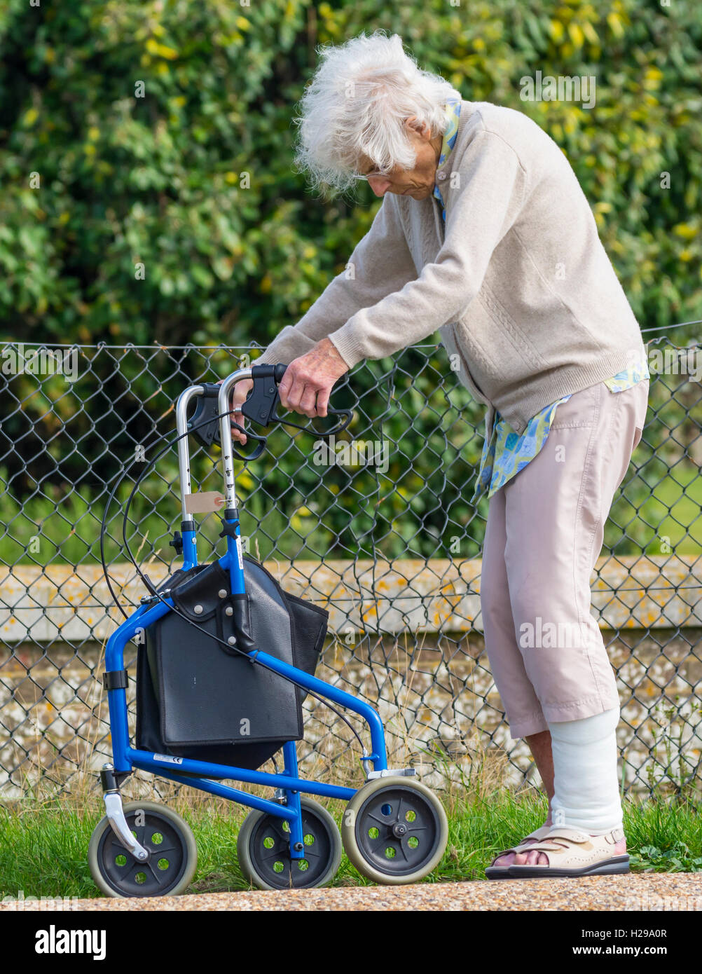 Elderly lady walking with the aid of a walking frame with wheels, in England, UK. Rollator or Wheeled Zimmer frame. Stock Photo