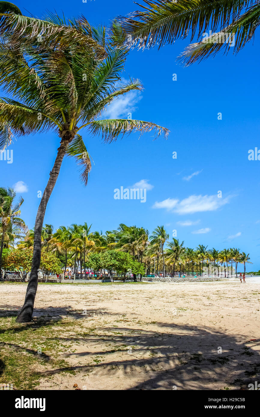 Lummus Park Miami Stock Photo