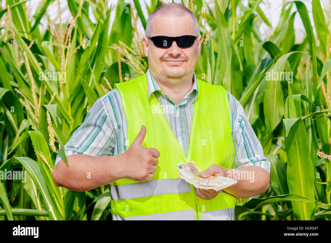 Farmer with money showing thumb up on corn field Stock Photo - Alamy