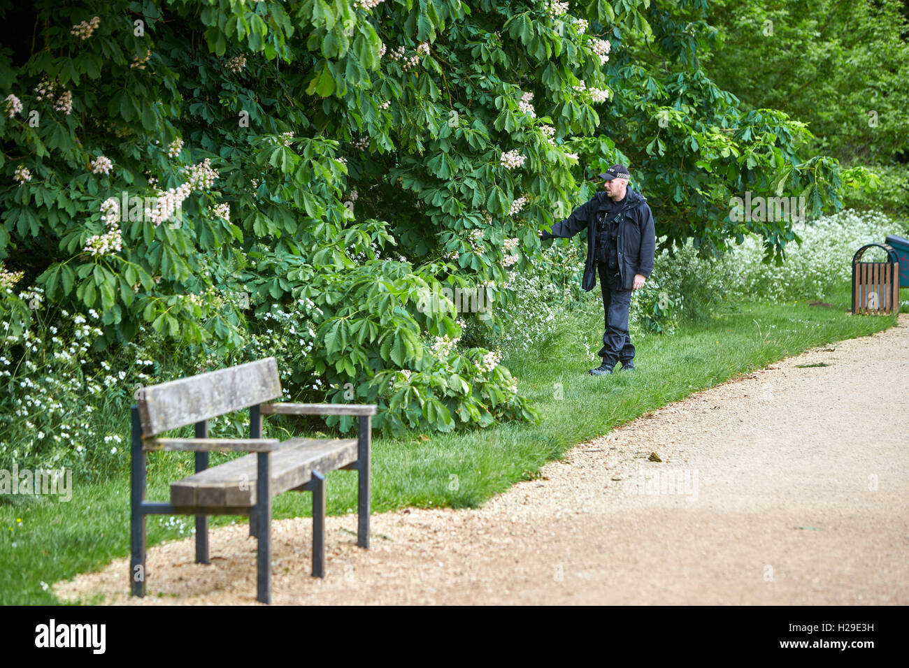 Police search University Parks in Oxford while looking for triple murderer Jed Allen Stock Photo