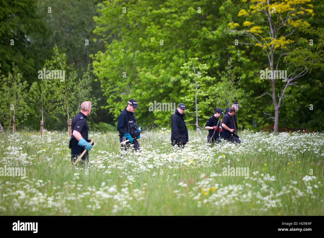 Police search University Parks in Oxford while looking for triple murderer Jed Allen Stock Photo