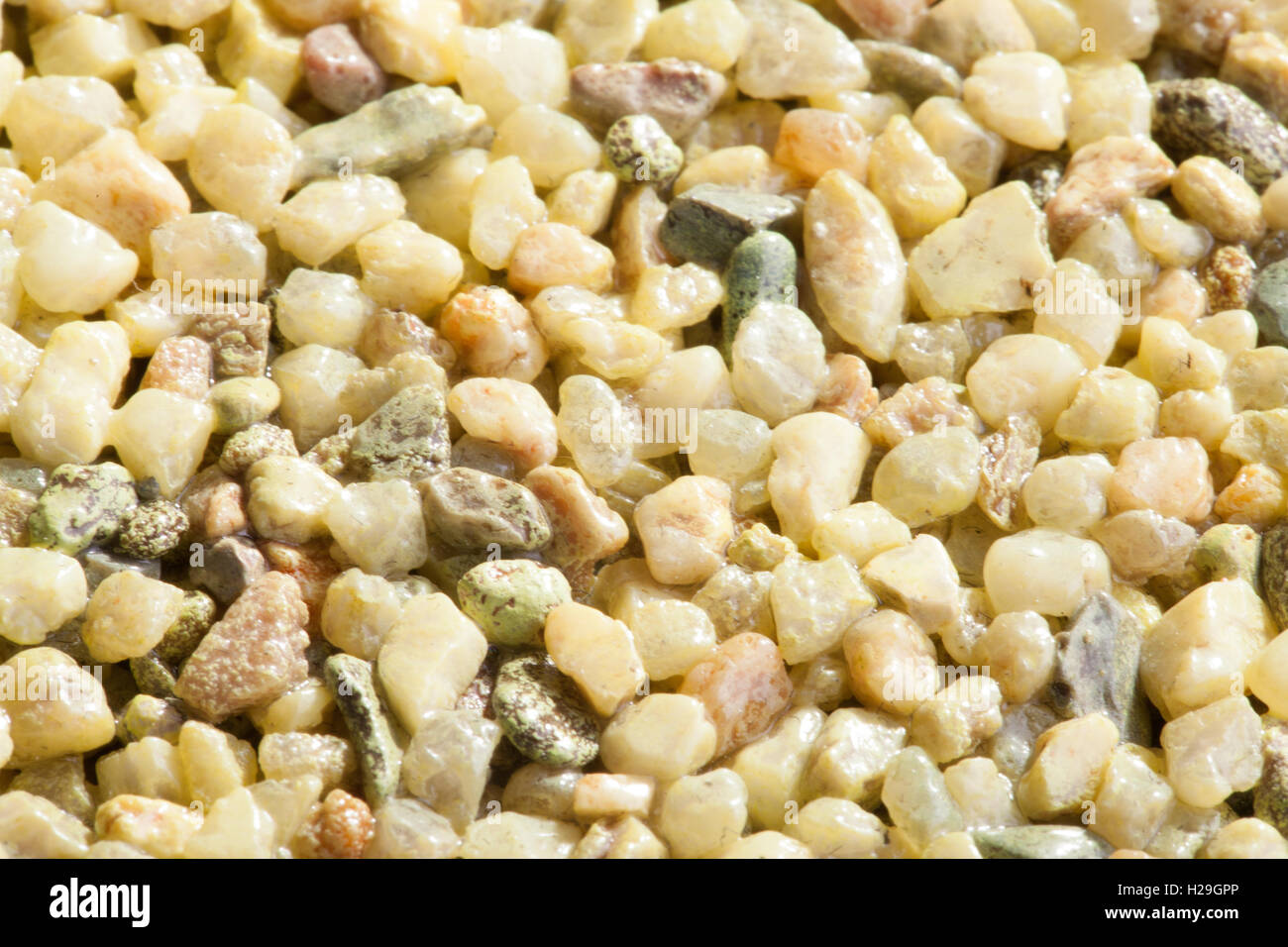 Yellow gravel hi-res stock photography and images - Page 12 - Alamy