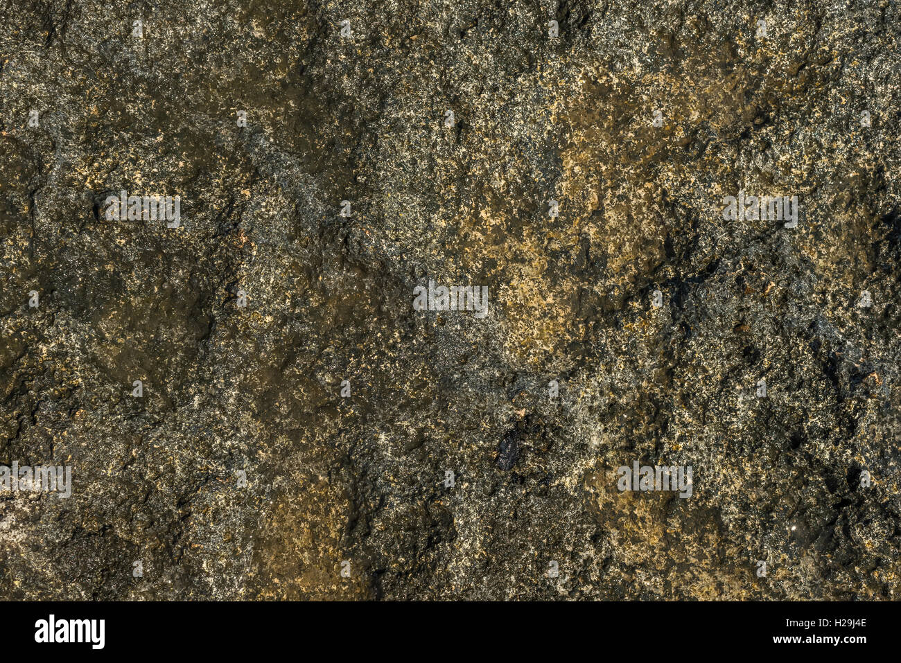 Sea water stone rock nature hi-res stock photography and images - Alamy