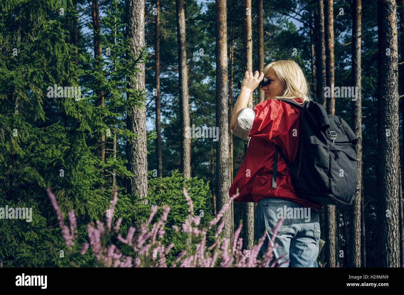 Watcher in the woods hi-res stock photography and images - Alamy