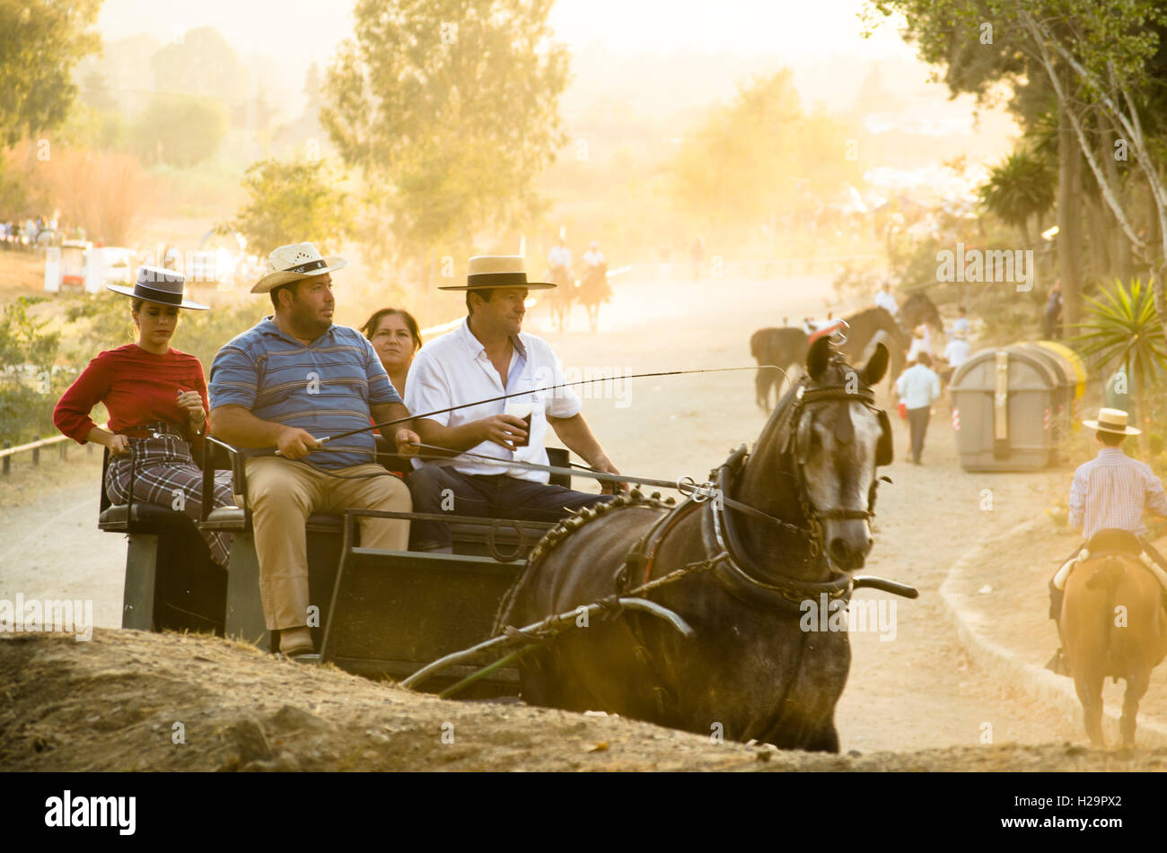 Traditional carriage with horse at Romeria of Fuengirola, religious pilgrimage one week before the annual fair, Fuengirola, Andalusia, Spain. 25 september, 2016.  Feria Credit:  Perry van Munster/ Alamy Live News Stock Photo