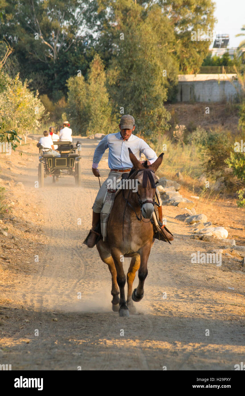 Man on mule,during Romeria of Fuengirola, religious pilgrimage one week before the annual fair, Feria,  Andalusia, Spain. 25 september, 2016.  Credit:  Perry van Munster/ Alamy Live News Stock Photo