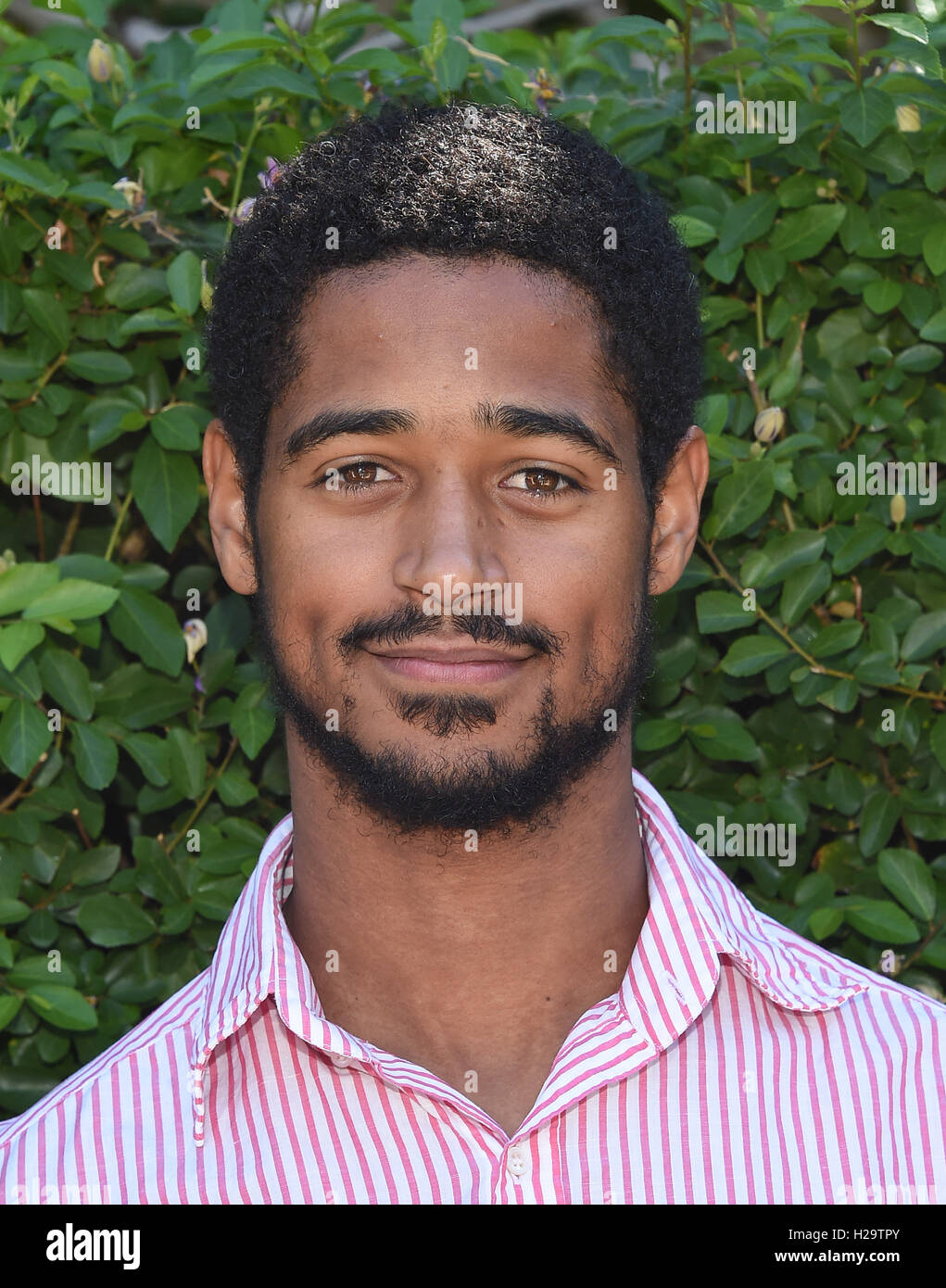 Beverly Hills, California, USA. 25th Sep, 2016. Alfred Enoch arrives