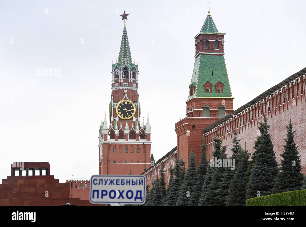Blue spruces (picea pungens glauca) stand on Red Square by the Kremlin Wall in Moscow, Germany, 22 September 2016. Photo: SOEREN STACHE/dpa Stock Photo