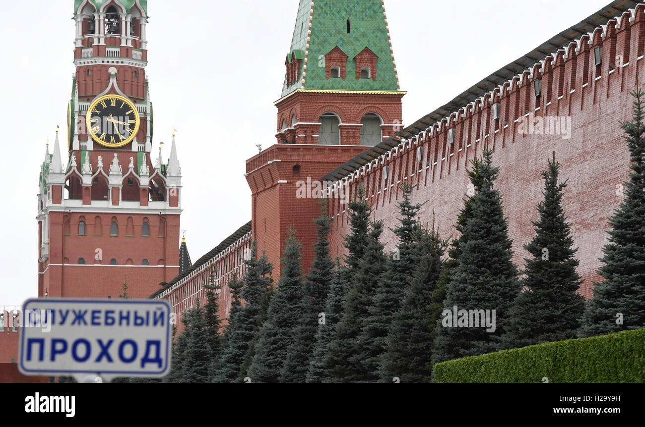 Moscow, Germany. 22nd Sep, 2016. Blue spruces (picea pungens glauca) stand on Red Square by the Kremlin Wall in Moscow, Germany, 22 September 2016. Photo: SOEREN STACHE/dpa/Alamy Live News Stock Photo