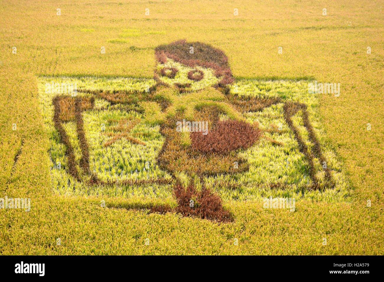 Panjin, Panjin, China. 27th Sep, 2016. Panjin, CHINA-September 26 2016 ...