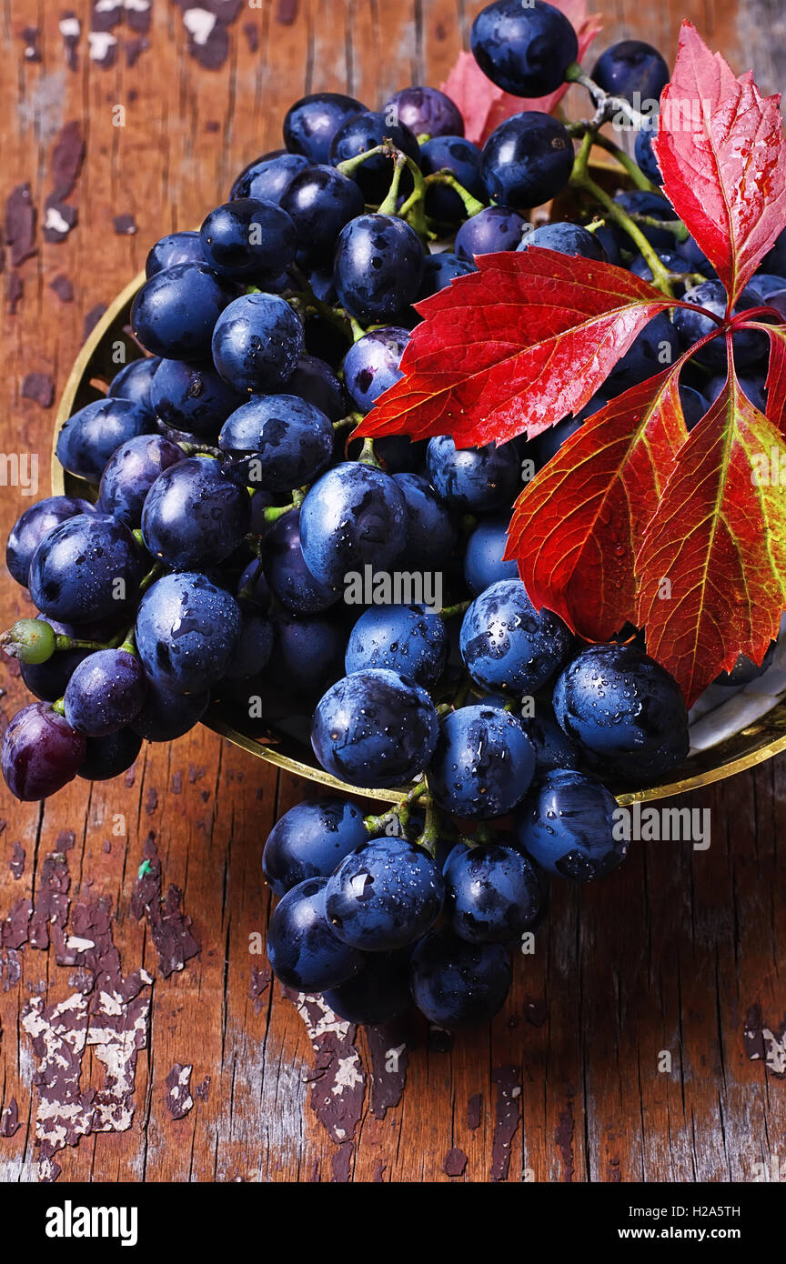 Table Grape Bunch Ripe Stylish dish cluster ripe autumn grapes on the table Stock Photo - Alamy