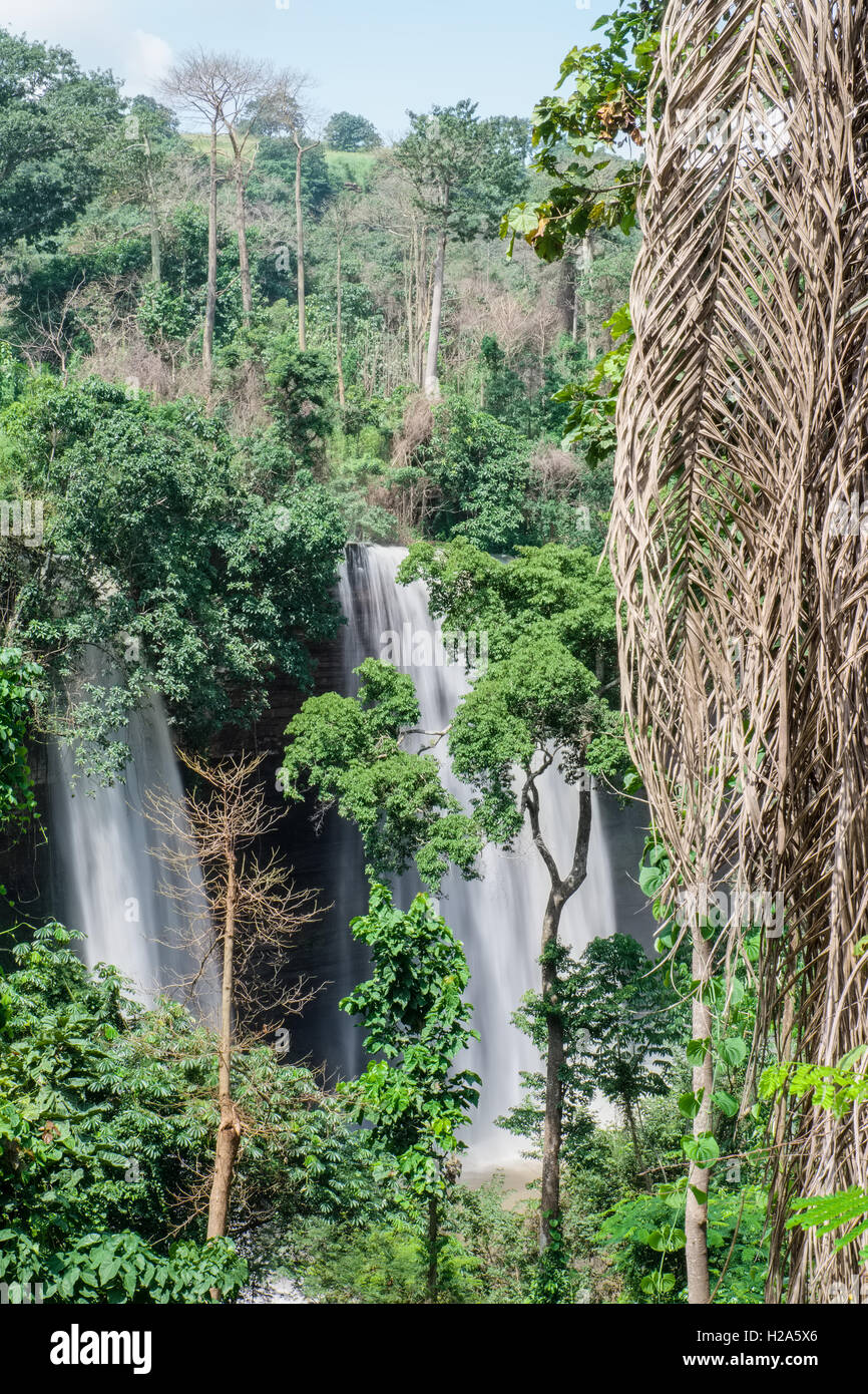 Cascading twin waterfalls between tropical trees at Wli Waterfalls in Ghana Stock Photo